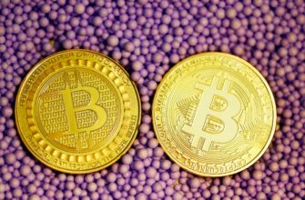 kriptovaljuta bitcoin cena3