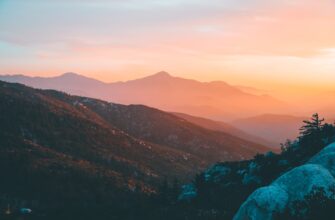 bystro kupit sol za som cherez kivi v erevane