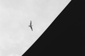 crypto airdrop landing page4