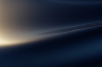 dmr kripto twitter3