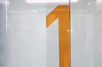 kripto ayi sezonu ne zaman5