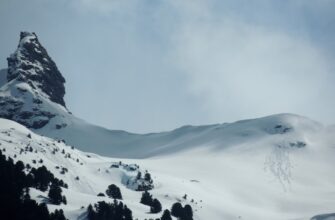 kriptovaljuta alpine2