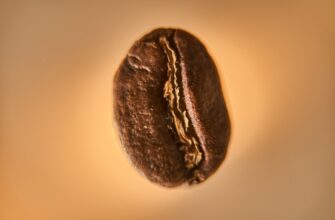 kriptovaljuta kava2