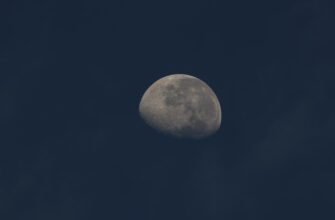 kriptovaljuta moon2