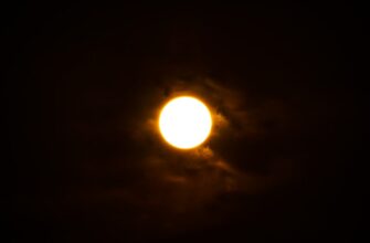 kupit sol za belorusskie rubli cherez kivi v armenii