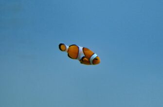 legalno li airdrop dohod v uzbekistane nalog na pribyl