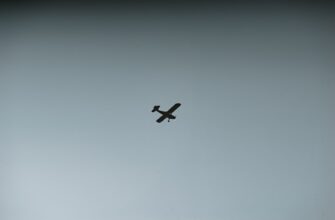 nuzhno li soobshhat airdrop dohod v uzbekistane