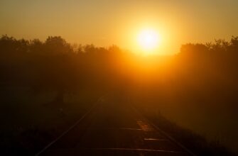 obmenjat sol za belorusskie rubli nalichnymi v kazahstane poshagovo