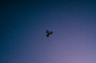 poluchit besplatno jefirium airdrop na polygon poshagovo