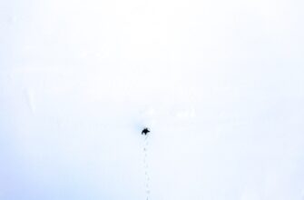 poluchit besplatno usdt airdrop na okx dlja novichkov