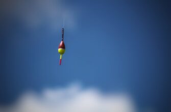poluchit besplatno zk airdrop na blast dlja novichkov