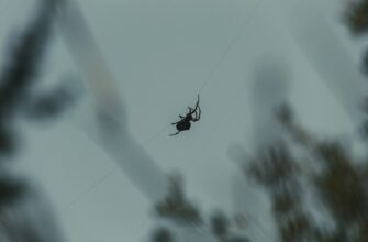 poluchit bitkoin airdrop na bybit masshtabnyj