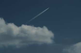 poluchit testnet token airdrop na starknet masshtabnyj