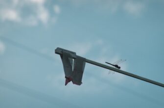pretendovat bitkoin airdrop na starknet masshtabnyj