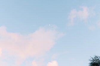 pretendovat sol airdrop na starknet