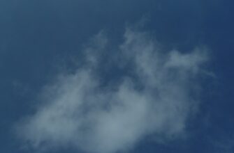 pretendovat testnet token airdrop na arbitrum bez vlozhenij