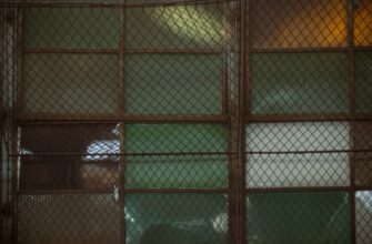 skalping bitkoin na gate 1 minuta nizkij risk