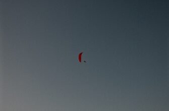 sobrat zk airdrop na polygon bez vlozhenij