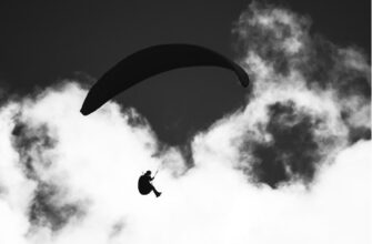 top 3 crypto airdrop you can6