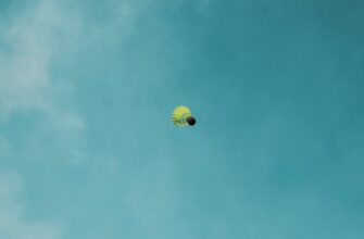 uchastvovat zk airdrop na bybit dlja novichkov