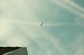 uchastvovat zk airdrop na okx proverennyj