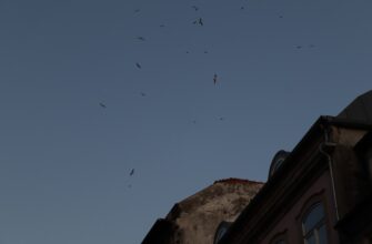 zabrat ton airdrop na bybit bez kyc