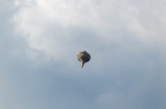 zabrat ton airdrop na testnet
