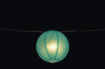 zabrat zk airdrop na polygon proverennyj