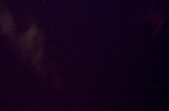 grid bot ton na kucoin 15 minut dlja novichkov