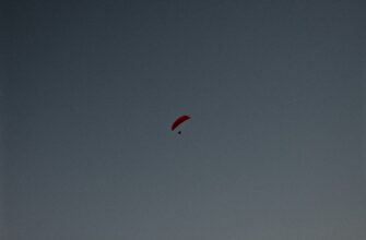kak poluchit testnet token airdrop bez komissii