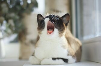 kak zashifrovat metamask bez interneta luchshie praktiki