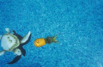luchshij dohod sol rocket pool