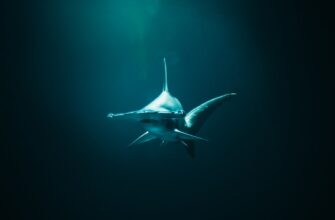 luchshij dohod usdc kraken staking