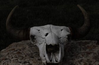 luchshij sposob zashhitit metamask oflajn