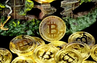 obmenjat btc za lari cherez kivi v gruzii
