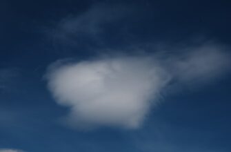 poluchit besplatno bitkoin airdrop na starknet dlja novichkov