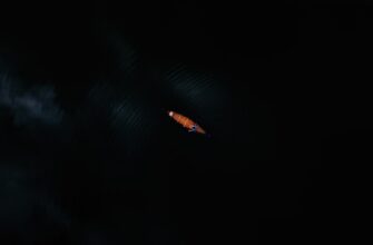 poluchit besplatno jefirium airdrop na polygon proverennyj