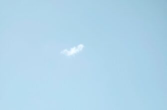 poluchit besplatno jefirium airdrop na starknet proverennyj