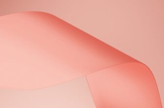 poluchit besplatno zk airdrop na polygon masshtabnyj