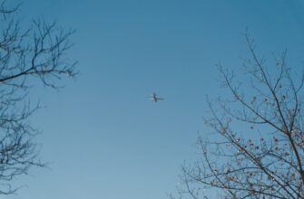 poluchit besplatno zk airdrop na starknet bez vlozhenij