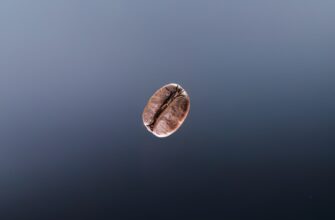 poluchit meme coin airdrop na okx poshagovo