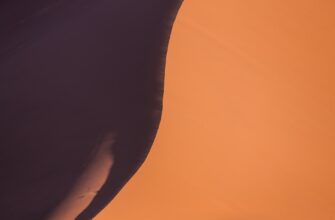 poluchit sol airdrop na starknet bez kyc