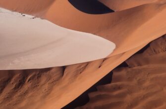 poluchit testnet token airdrop na polygon bez komissii