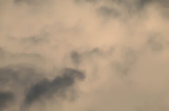 pretendovat bitkoin airdrop na layerzero masshtabnyj