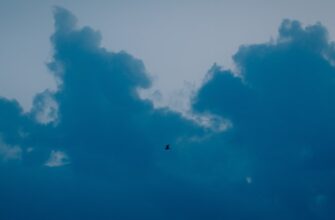 pretendovat bitkoin airdrop na okx bez vlozhenij