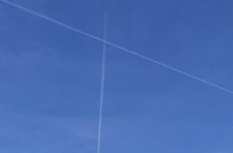 pretendovat testnet token airdrop na polygon bez vlozhenij