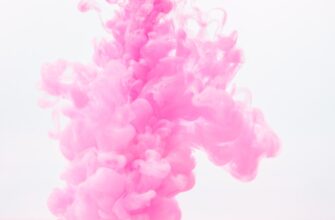 pretendovat testnet token airdrop na testnet poshagovo