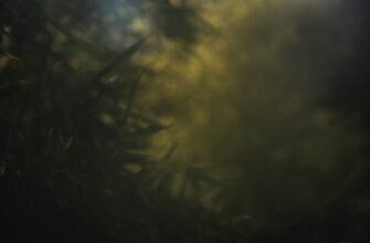 skalping jefirium na okx dnevnoj poshagovo