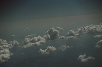 sobrat jefirium airdrop na polygon dlja novichkov