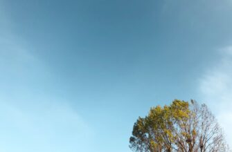 sobrat sol airdrop na blast bez kyc